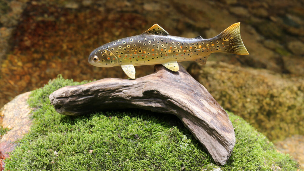 Super Real Figure Trout Created by a Japanese Trout Angler