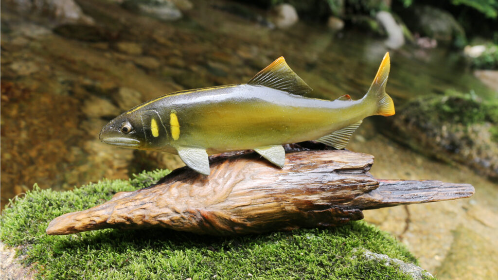 Super Real Figure Trout Created by a Japanese Trout Angler